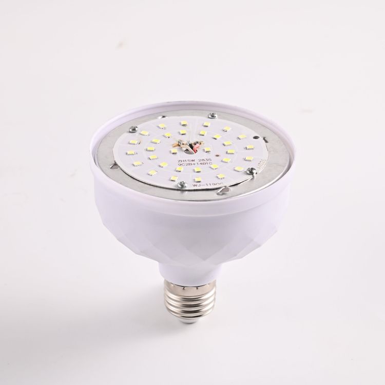 Indoor Lighting LED Bulb Diamond DOBE27