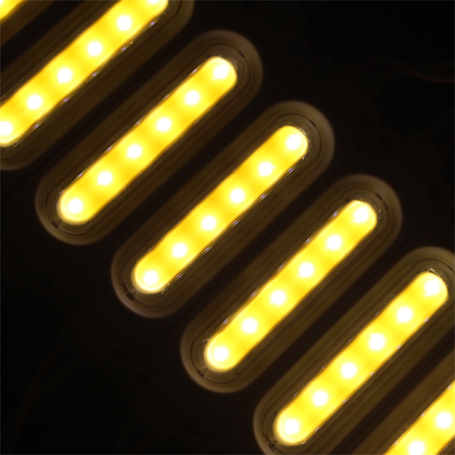 6 chips COB lens led module