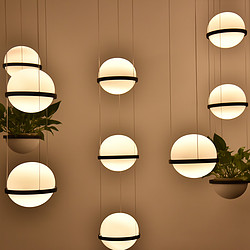 Plant, Flower, and Grass Bar, Bar, Music Restaurant, Pendant Light