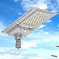 Dust proof and anti glare Wild Wolf solar series street lights