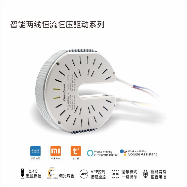 Intelligent two wire constant current and constant voltage drive series