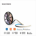 Remote control dimming and color adjustment constant voltage light strip series