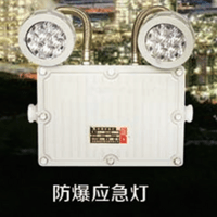 BCJ series LED explosion-proof emergency light/marker light