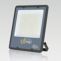 50-300W High Quality floodlight Series