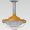 Die cast aluminum radiator explosion-proof high bay light