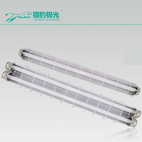 Spray molded iron mesh cover explosion-proof series fluorescent lamp