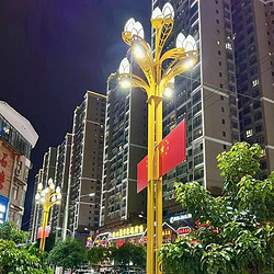 High brightness energy-saving multi head thickened base magnolia lamp street lamp