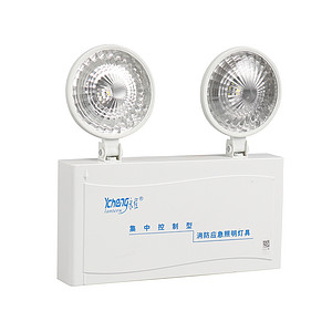 Centralized control fire dual head emergency light