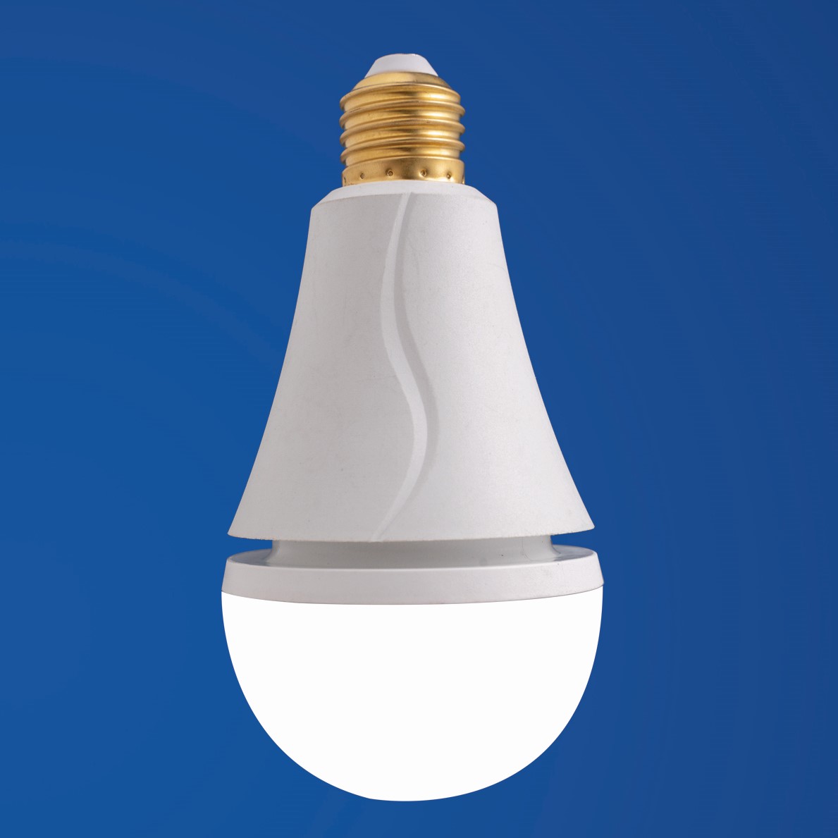 Professional emergency led bulb