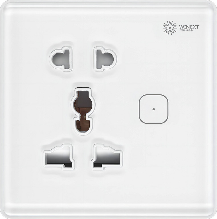 DS-501 smart socket panel