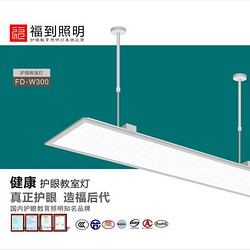 Eye Protection Classroom Light FD-W300