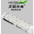 Outdoor LED street light source radiator module