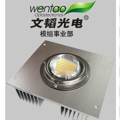 Square LED convex lens street light module