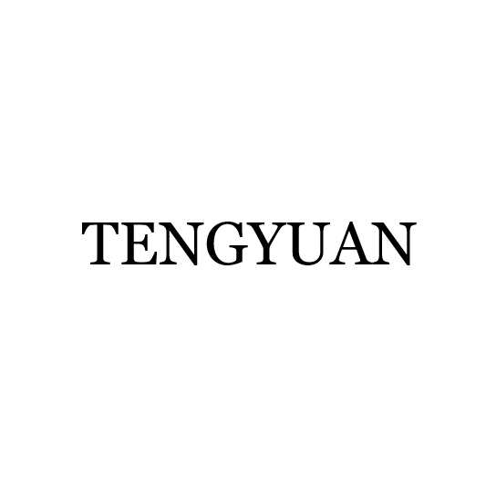 GUANGZHOU TENGYUAN ELECTRICAL APPLIANCE CO., LTD.