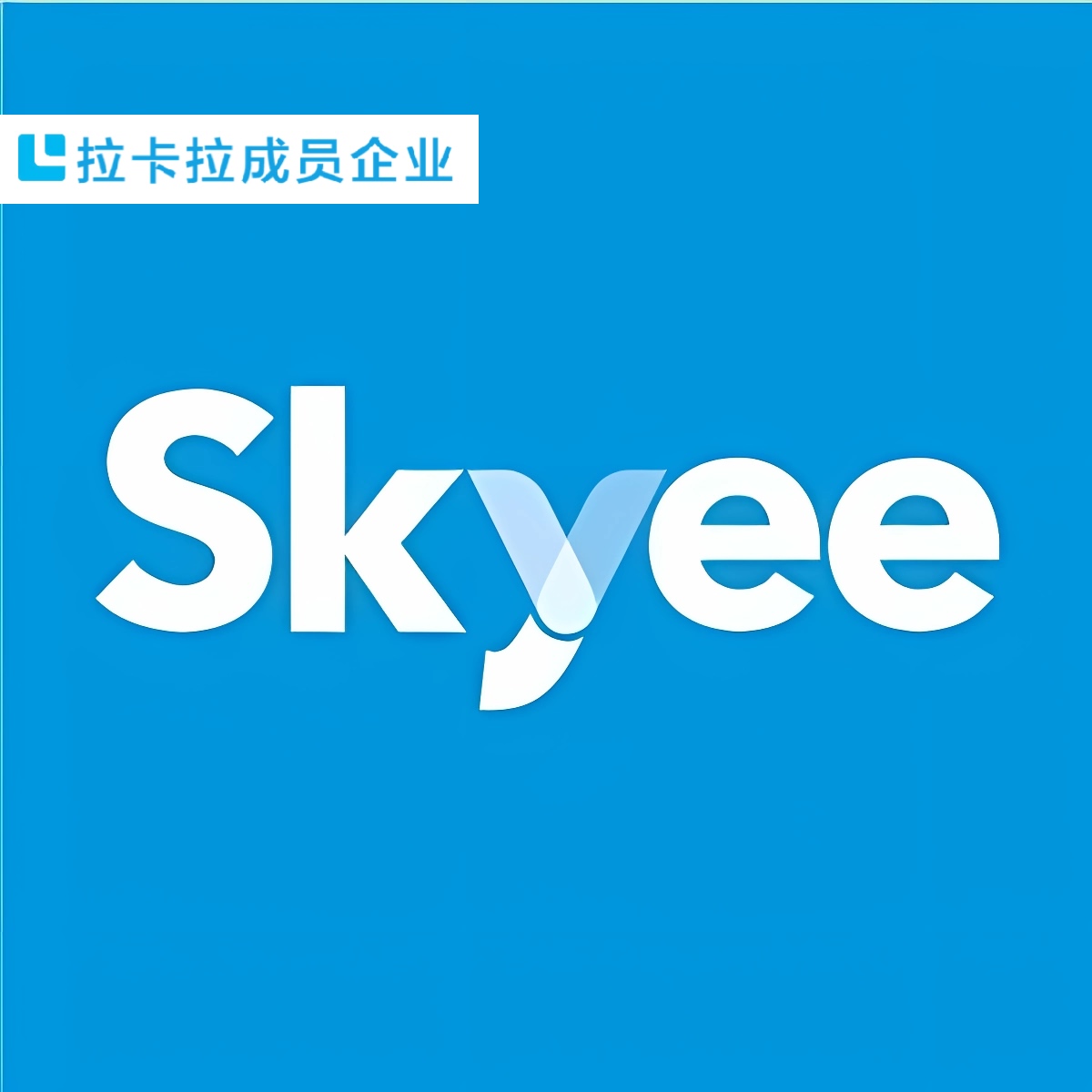 Skyee Foreign Trade Collection Solution