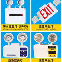 Indoor waterproof multi-function emergency light