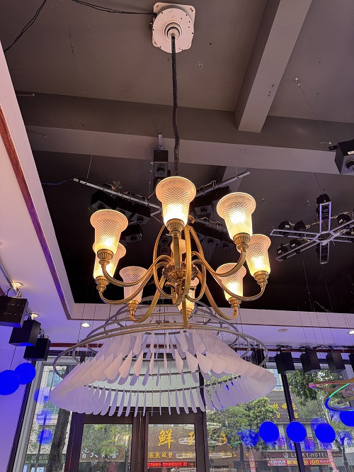 Crystal Chandelier lifter