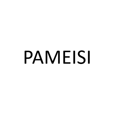 ZHONGSHANSHI PAMEISI LIGHTING CO.,LTD.