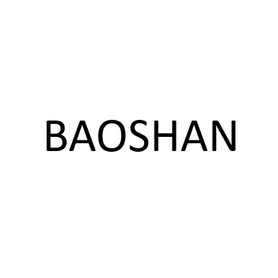 Guangdong Baoshan Electronic Technology Co., Ltd.