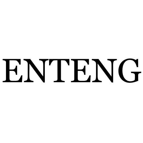 Zhongshan Enteng Optical Technology Co., Ltd.