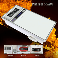Four-in-one lighting bathroom heater