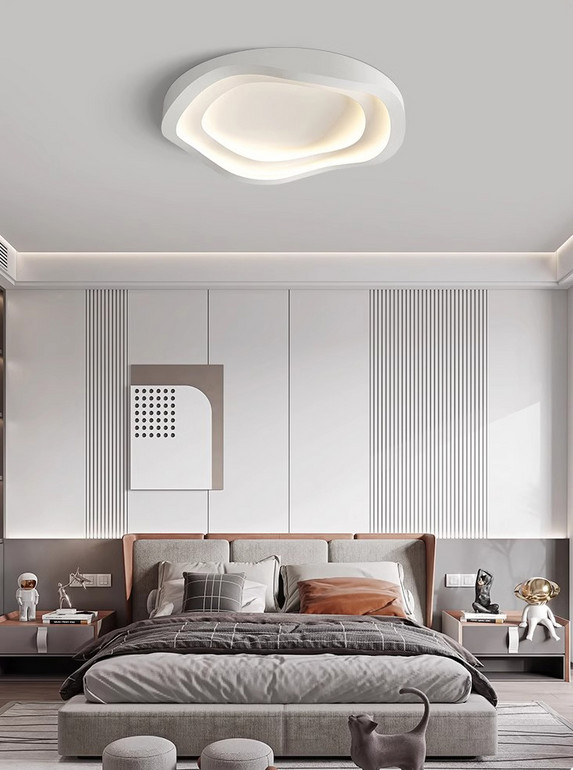 Cross-border Ceiling Light, Meets EU/US Standards, Stable Supply, Private Label Service