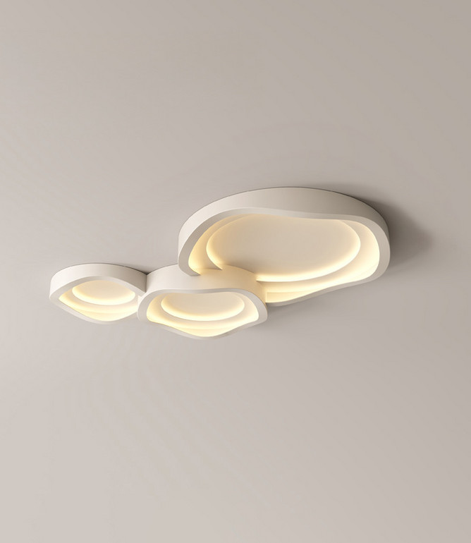 Art Ceiling Light for Restaurant & living room -border Ceiling Light, Meets EU/US Standards