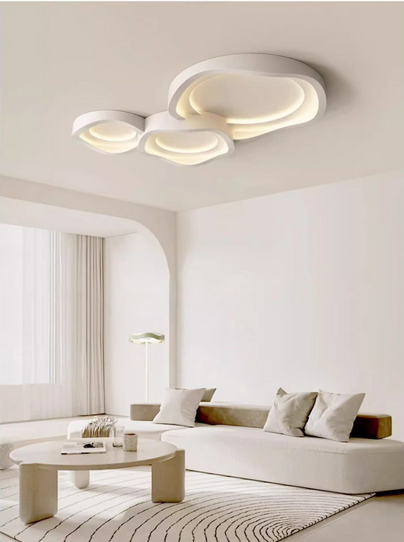 Art Ceiling Light for Restaurant & living room -border Ceiling Light, Meets EU/US Standards