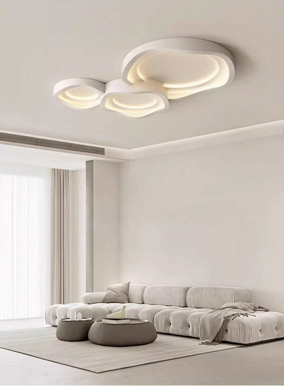 Art Ceiling Light for Restaurant & living room -border Ceiling Light, Meets EU/US Standards