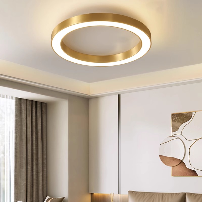 Customizable Size Round Ceiling Light, Minimalist Commercial Lighting