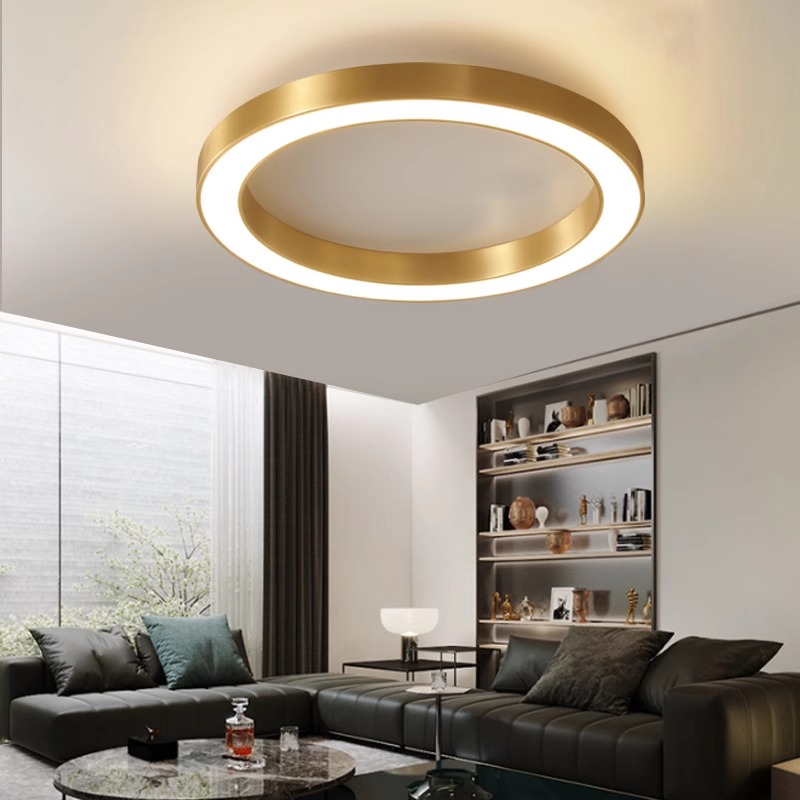 Customizable Size Round Ceiling Light, Minimalist Commercial Lighting