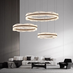 Floating Ring LED Pendant Light---TP-B9161