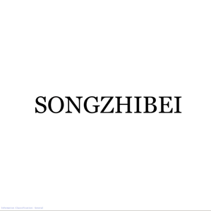 JIEYANG SONGZHIBEI ELECTRICAL APPLIANCE CO., LTD.