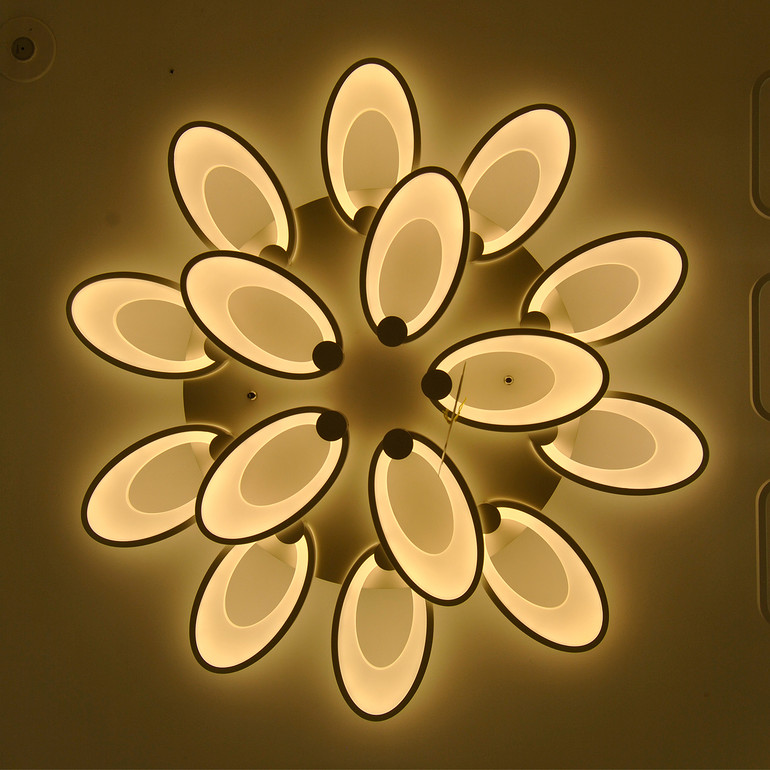 Ceiling Lamp