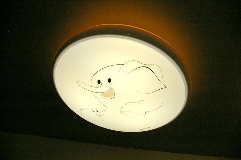 Ceiling Lamp