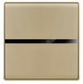 switch,simple,INDOOR,champagne gold,Wall