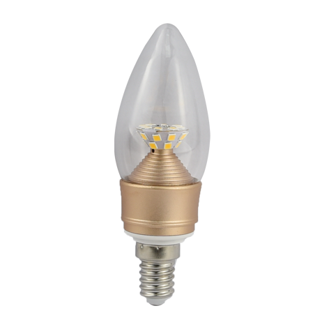 Bulb