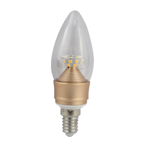 Bulb