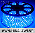 LED Strip Light,Warm light,single,crystal