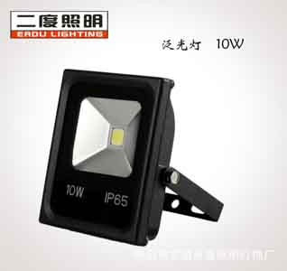 Floodlight/ED-TGYT-10W