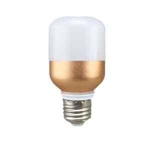 LED Bulb