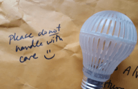Durable and Lightbulb have Walked Together