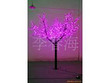 LED