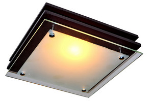 Panel Light