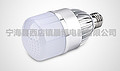 LED Bulb