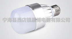 LED Bulb