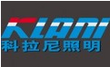 {$company->company_name}}