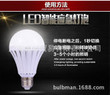 LED Bulb