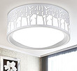 Ceiling Lamp