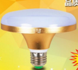 LED Bulb,white,household,indoor,circular